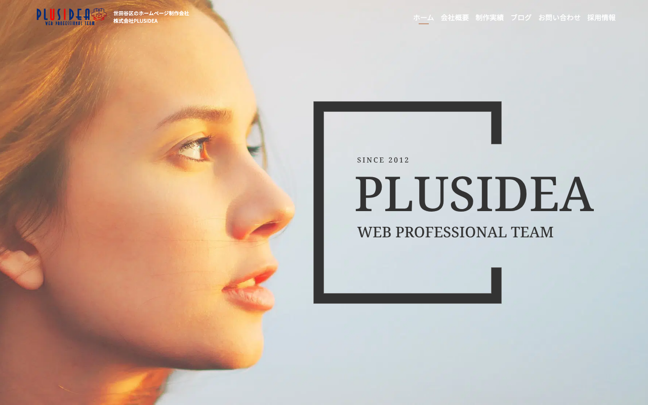 株式会社PLUSIDEA