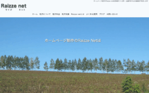 Raizze net