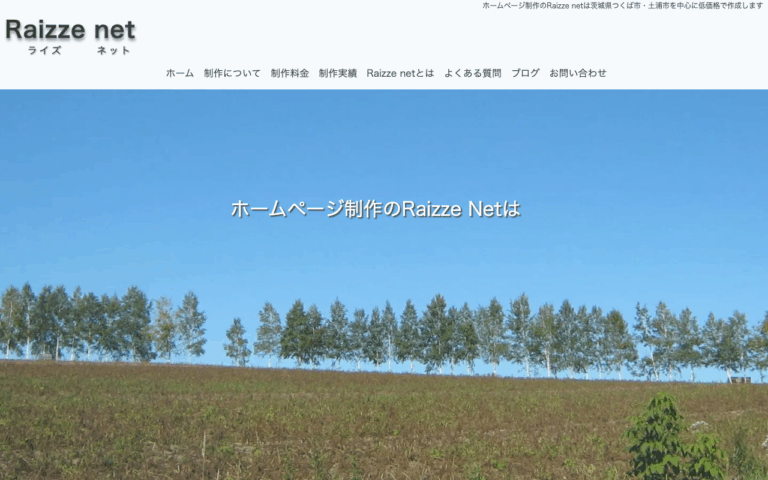 Raizze net