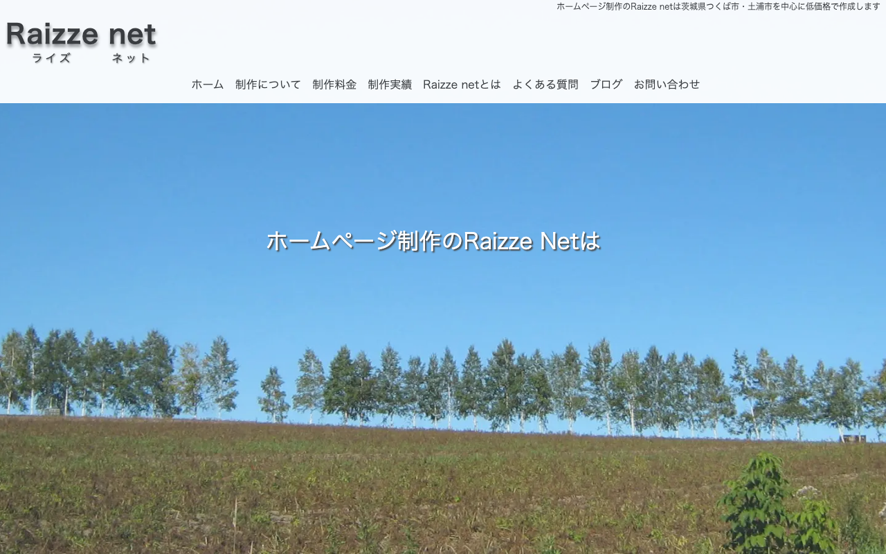Raizze net