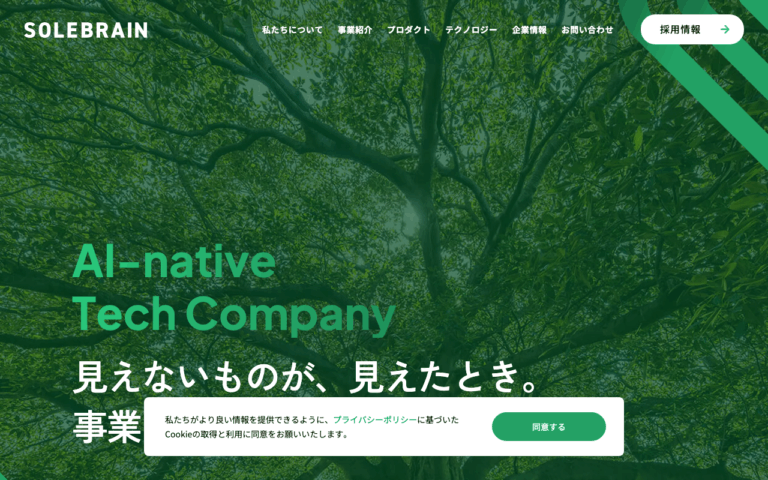 株式会社SoleBrain