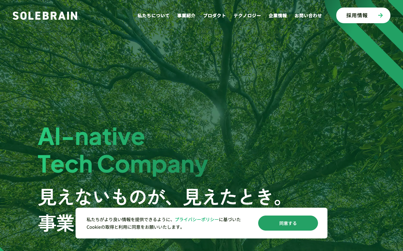 株式会社SoleBrain