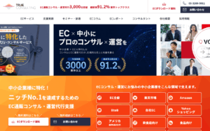 トゥルーコンサルティング株式会社