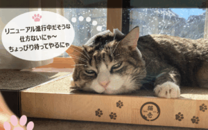 有限会社デザインクロス