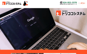 株式会社トリココシステム