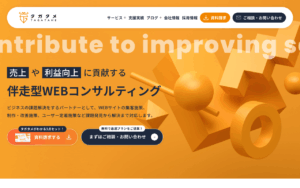 株式会社タガタメ