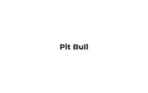 合同会社pit bull