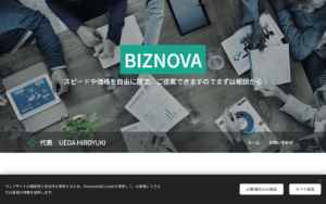 BIZNOVA