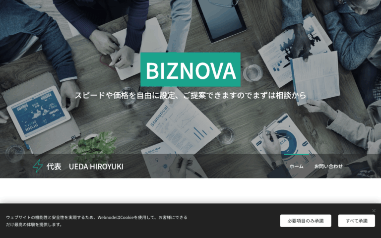 BIZNOVA