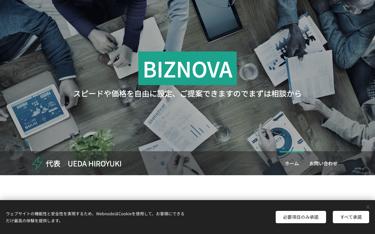 BIZNOVA