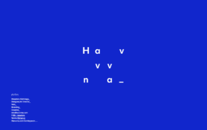 Havvvna（ハバナ）
