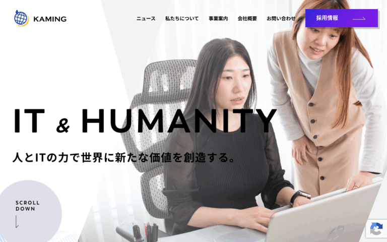 合同会社KAMING