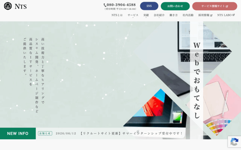 株式会社NTS