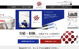 株式会社ネットプロ