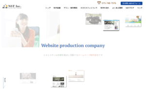 有限会社エヌエスティ
