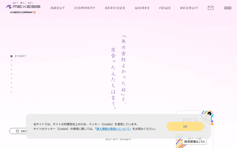 株式会社メクゼス