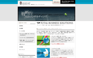 有限会社アシストアドシステムズ