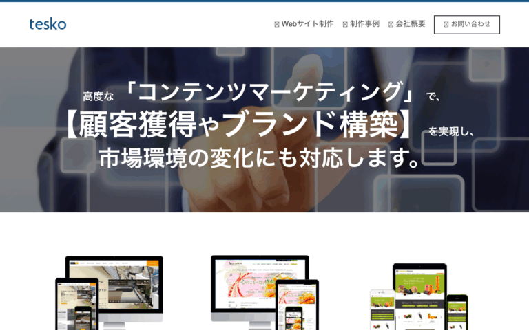 株式会社テスコ