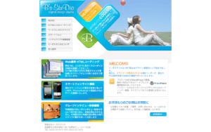 有限会社ビーズ･スタジオ