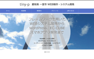 tiny-p
