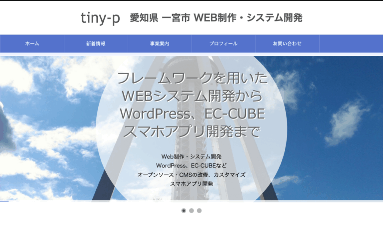 tiny-p