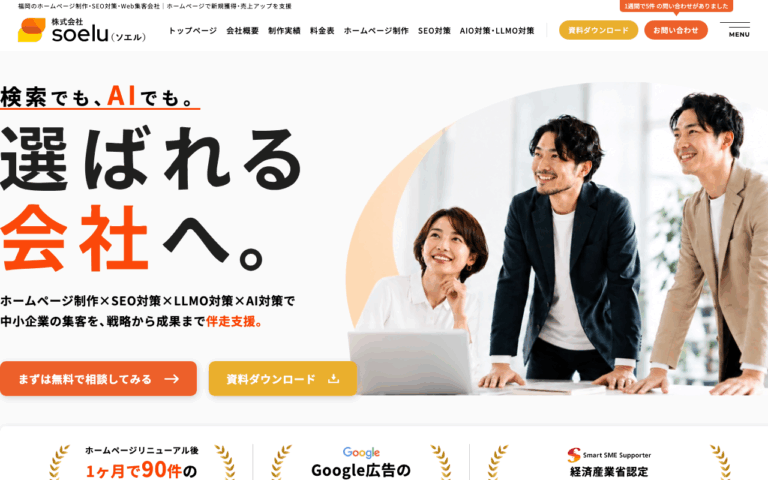 株式会社Soelu